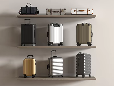 Assorted Luggage And Handbags Displayed On Wooden Shelves With Various Colors And Styles 3d model