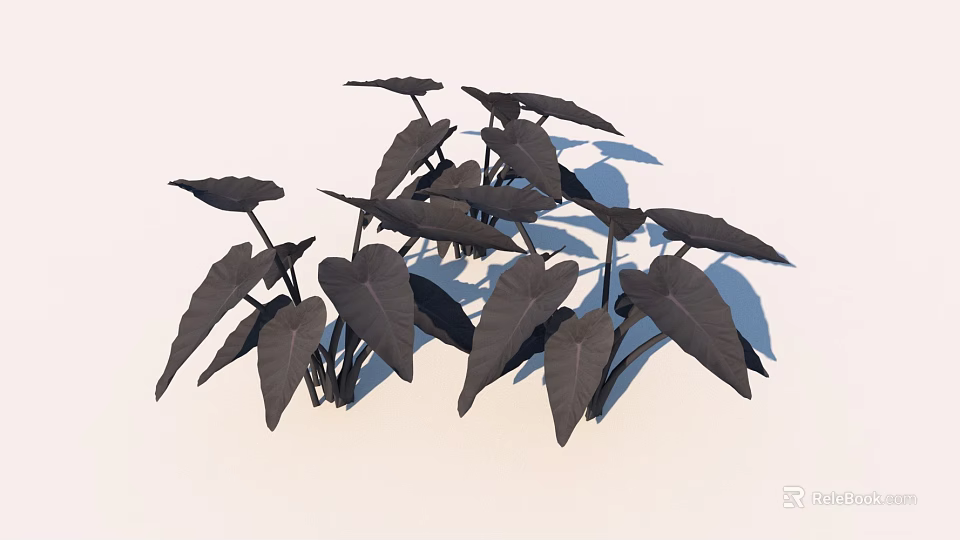 Black Leaves With Multiple Dark Foliage On White Background And Shadows 3d model 