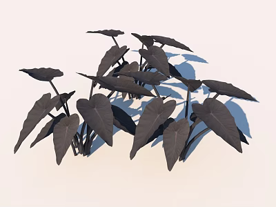 Black Leaves With Multiple Dark Foliage On White Background And Shadows 3d model