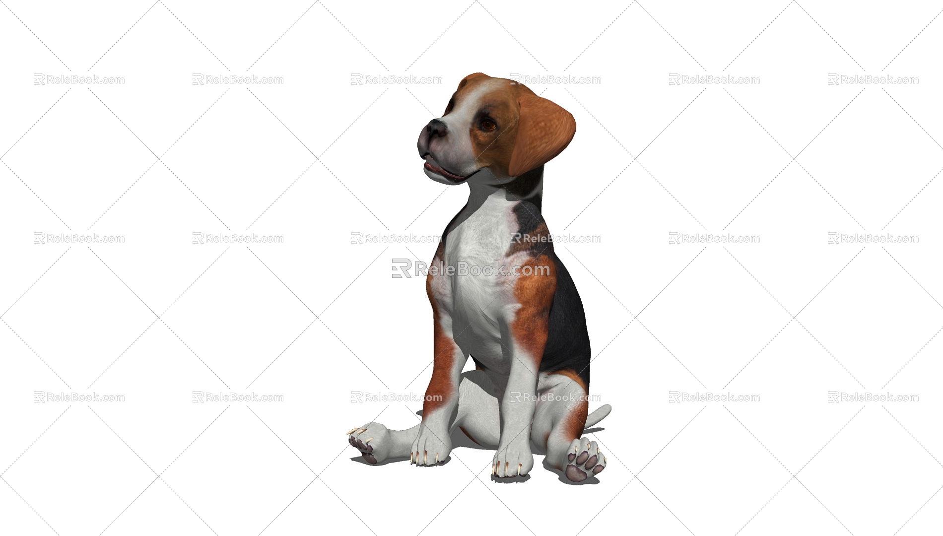 Dog 3d model