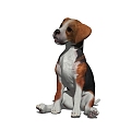 Dog 3d model