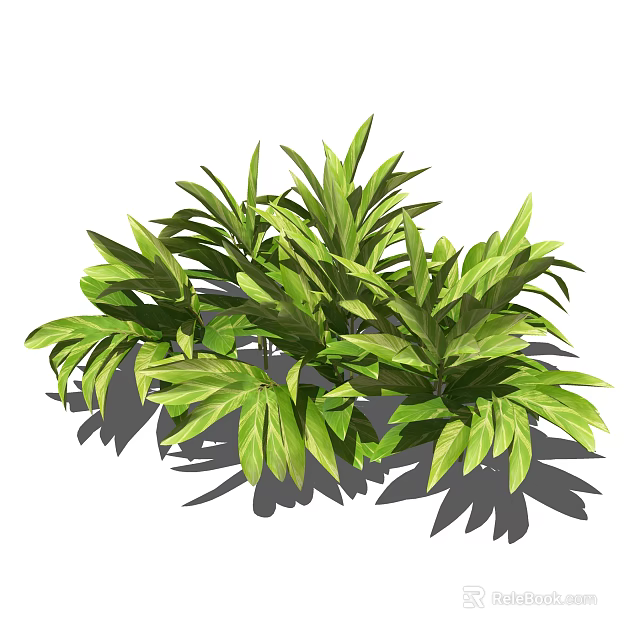 Lush Green Shrub With Vibrant Variegated Leaves And Natural Shade Patterns 3d model 