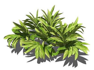 Lush Green Shrub With Vibrant Variegated Leaves And Natural Shade Patterns 3d model