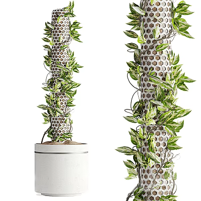 Bonsai Potted Plant with Columnar Netted Structure Covered by Green Vines Leaves in White Pot 3d model