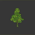 Three Different Sizes of Green Trees with Lush Foliage and Textured Trunks on Dark Background