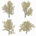 Golden Foliage Arbor Varieties With Different Shapes And Natural Branch Structures 3d model