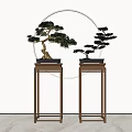 Indoor Bonsai Trees Placed On Wooden Stands With Circular Mirror Background