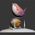 Colorful Bird Standing On A Walnut With Green Grass And Stone Base Against Gray Background