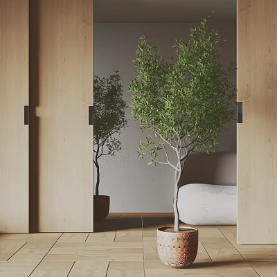 Modern Potted Plant 3d model Modern Potted Plant 3d model