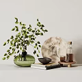Elegant Decorative Ornament Set With Green Vase Plant Round Plate Brown Bottle And Wooden Tray