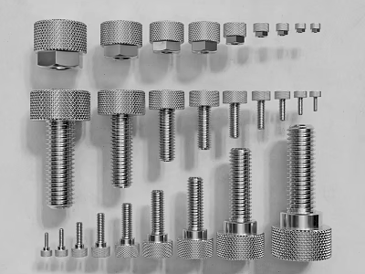 Hardware Tools Set with Various Sizes and Types of Bolts Nuts 3d model