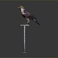 Falcon Wearing Brown Hat Standing On Metal Perch Against Dark Gray Background