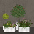 Square White Grid Flower Pots With Trees Shrubs And Colorful Flowering Plants For Garden Decoration