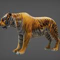 Realistic Tiger With Orange Black Stripes White Underbelly Standing On Gray Background