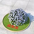 Blue and White Flowers Blooming on Circular Green Lawn with Small Red Sign