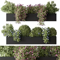 Stylish Black Flower Pots With Purple Flowers Green Shrubs And Blue Blooms
