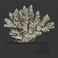Elegant Coral Shaped Sculpture Decorative Display On Black Square Home Decor Base