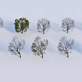 Leafy and Leafless Trees Arranged in Rows on White Snowy Background 3d model