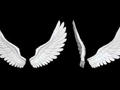 modern wings feather wings 3d model