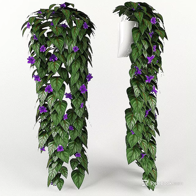 Lush Green Vines With Vibrant Purple Flowers And Dense Foliage Perfect For Indoor Decoration 3d model 