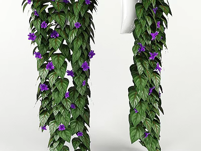 Lush Green Vines With Vibrant Purple Flowers And Dense Foliage Perfect For Indoor Decoration 3d model