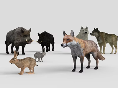 Diverse Reptile Species Including Lizards Snakes And Turtles In Natural Habitat 3d model
