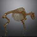 Golden Horned Animal Skeleton With Detailed Bone Structure And Metallic Finish On Gray Background