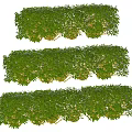 Lush Green Bushes With Dense Foliage In Multiple Rows For Garden Design