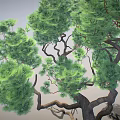 Tall Tree With Exposed Roots Twisted Trunk And Green Foliage In Light Blue Sky