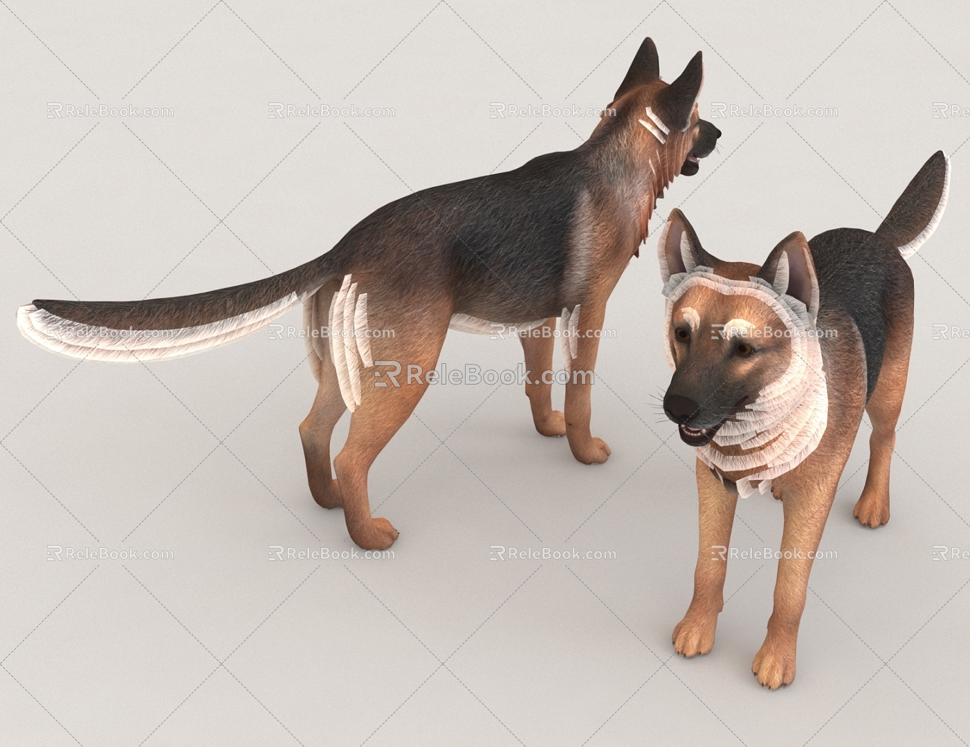 Sheepdog 3d model