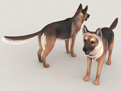 Two German Shepherd Dogs 3D Model With Bandages 3d model