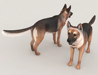 Two German Shepherd Dogs 3D Model With Bandages 3d model