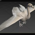 Graceful White Swan Flying With Spread Wings In Forest Background 3d model