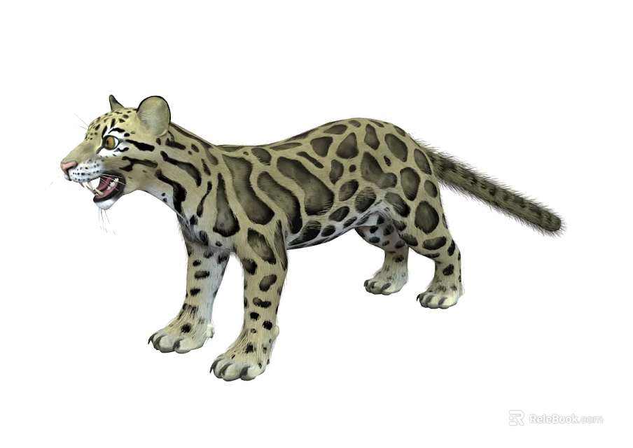 Realistic Clouded Leopard Figure In Standing Pose With Open Mouth And Spotted Fur 3d model 