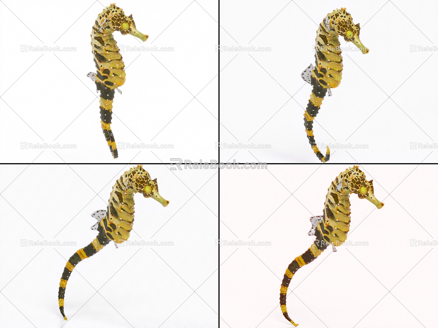 Hippocampus Bound and Animated Tiger Tail Hippocampus Sea Dragon 3d model