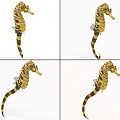 Hippocampus Bound and Animated Tiger Tail Hippocampus Sea Dragon 3d model