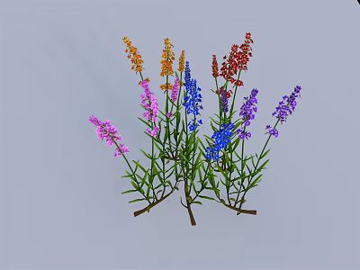Colorful Lavender Plants with Orange Pink Blue Purple Red Flowers and Green Stems Leaves 3d model