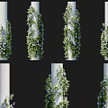 Lush Vines With Green Leaves And Purple Flowers Growing On White Decorative Columns