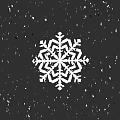 White Snowflake Illustration On Black Background With Small Decorative Fragments