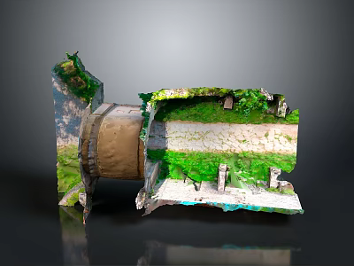 Lush Green Landscape with Abandoned Moss Covered Structure and Layered Natural Growth 3d model
