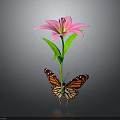 Monarch Butterfly Perched On Pink Lily With Green Stem And Leaves Against Dark Background