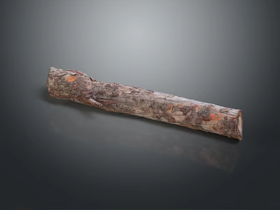 Rustic Wooden Stone Log With Natural Textured Surface And Smooth Dark Background Reflection 3d model