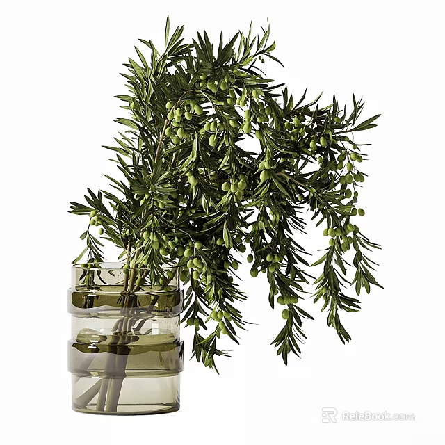 Natural Decorative Ornament Arrangement With Olive Branch And Clear Glass Vase 3d model 