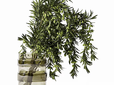 Natural Decorative Ornament Arrangement With Olive Branch And Clear Glass Vase 3d model
