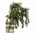 Natural Decorative Ornament Arrangement With Olive Branch And Clear Glass Vase