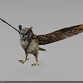Owl with Spread Wings Standing on Dark Background Displaying Detailed Feathers 3d model
