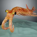 Strange Sea Creature With Orange Body Yellow Eyes And Finned Appendages On Ocean Floor