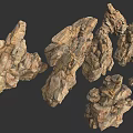 3D Rendered Natural Stone Wood Models With Textured Surfaces And Organic Shapes