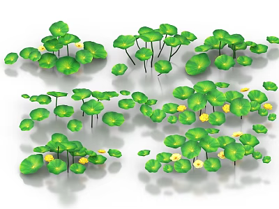 Green Aquatic Plants With Round Leaves And Small Yellow Flowers Growing On Water Surface 3d model