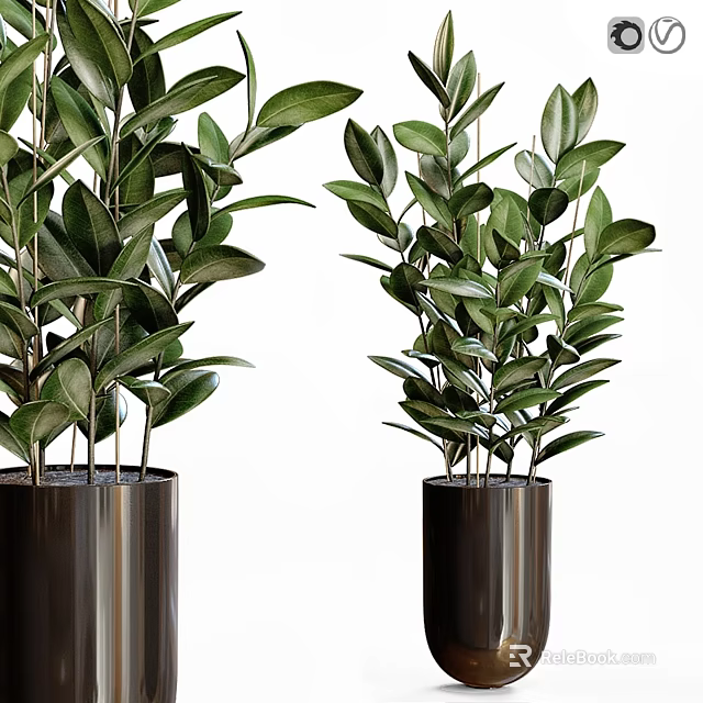 Indoor Garden Decor Featuring Green Leafy Plants In Black Cylindrical Pots 3d model 
